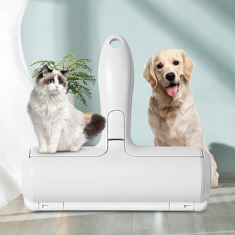 Vận chuyển thú cưng từ Hà Nội đi Sài Gòn nhanh chóng bằng tàu hỏa Vận chuyển thú cưng từ Hà Nội đi Sài Gòn nhanh chóng bằng tàu hỏa